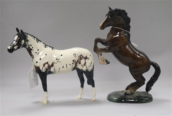 A Beswick Welsh cob rearing 1014, brown, second version and a Appaloosa Stallion H1772